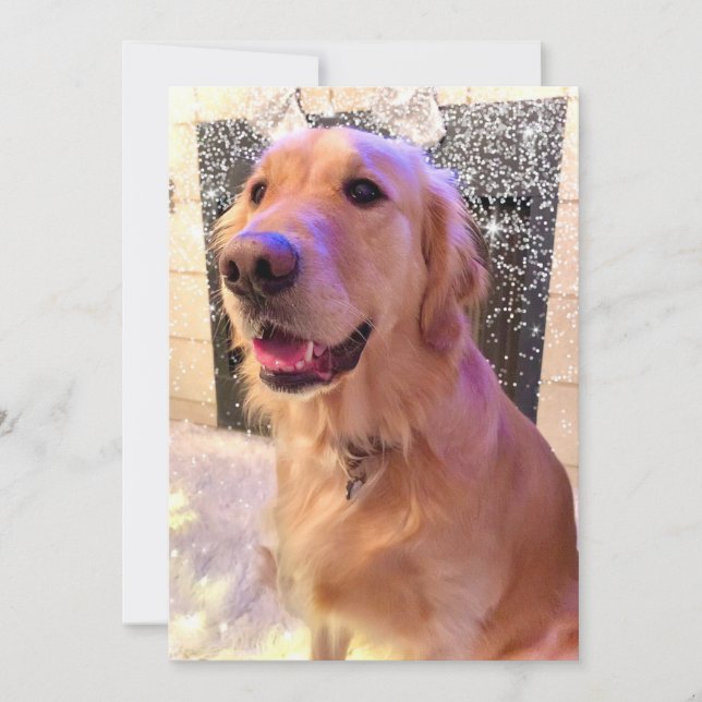 Nova Girl's Merry and Bright  - Golden Retriever - Holiday Card (Front)