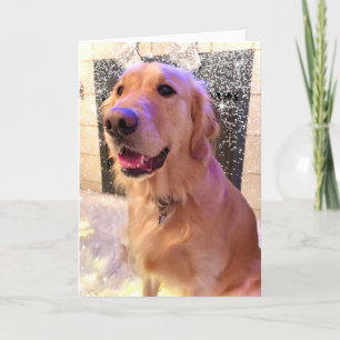 Nova Girl's Merry and Bright  - Golden Retriever Holiday Card