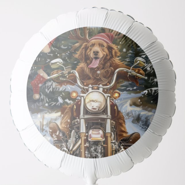 Nova Scotia Dog Riding Motorcycle Christmas Balloon (Front)