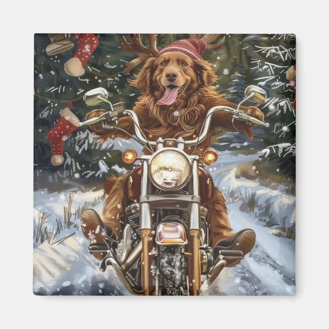 Nova Scotia Dog Riding Motorcycle Christmas Magnet (Front)