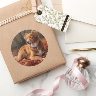 Nova Scotia Duck Terrier In Autumn Leaves Fall Classic Round Sticker