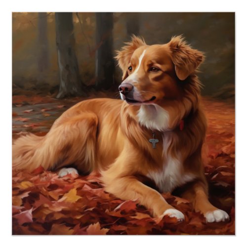 Nova Scotia Duck Terrier In Autumn Leaves Fall  Poster