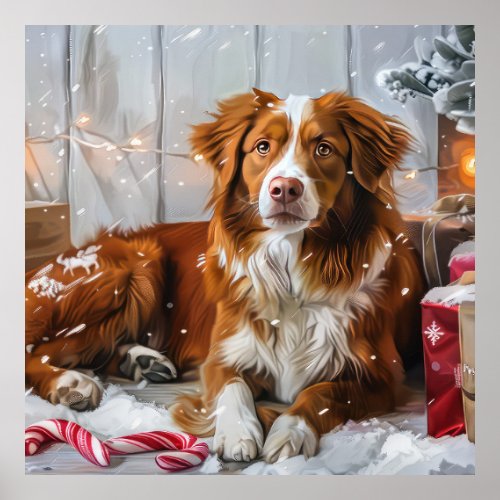 Nova Scotia Duck Toller Dog Christmas Festive Poster