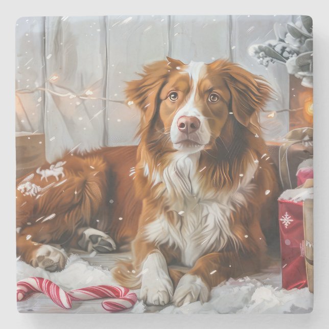 Nova Scotia Duck Toller Dog Christmas Festive Stone Coaster (Front)