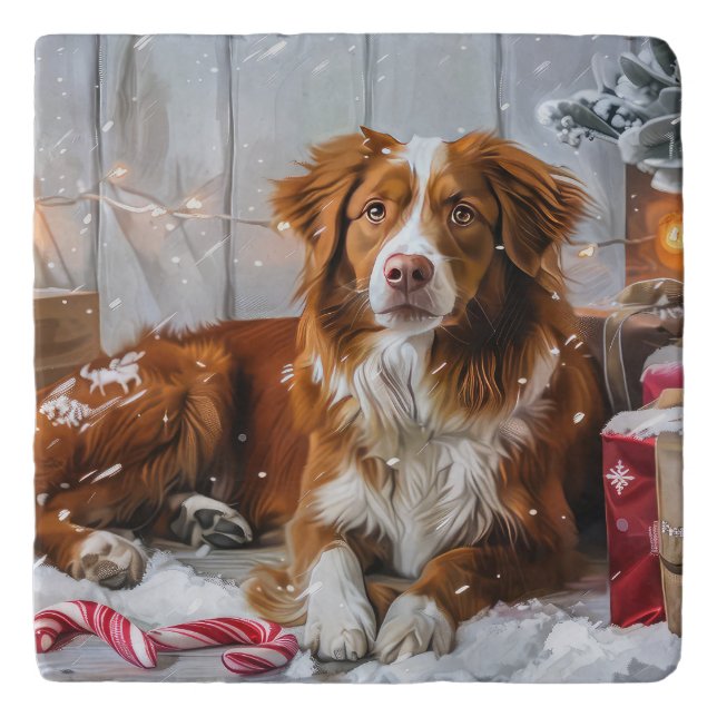 Nova Scotia Duck Toller Dog Christmas Festive Trivet (Front)