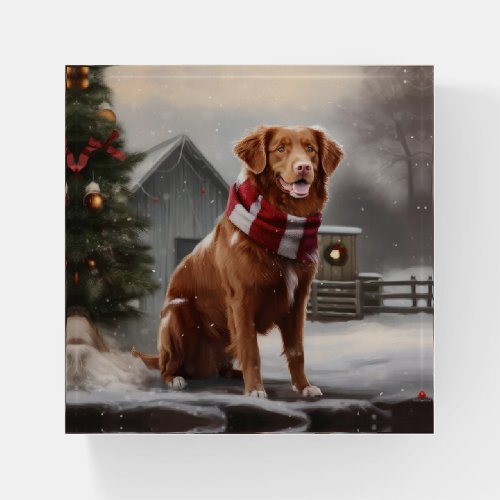 Nova Scotia Duck Toller Dog in Snow Christmas Paperweight