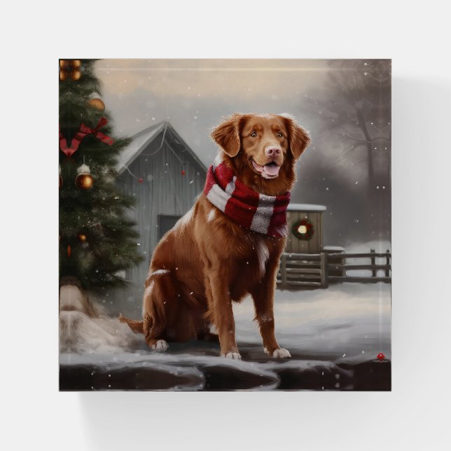 Nova Scotia Duck Toller Dog in Snow Christmas Paperweight (Front)