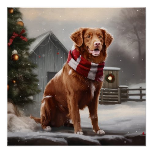 Nova Scotia Duck Toller Dog in Snow Christmas Poster