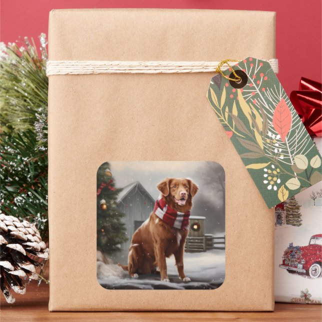 Nova Scotia Duck Toller Dog in Snow Christmas Square Sticker (Holiday)
