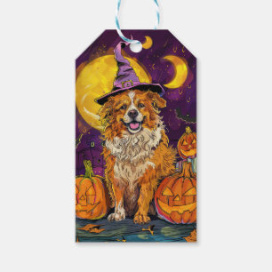 Nova Scotia Duck Toller Halloween Witch Pumpkin Gift Tags
