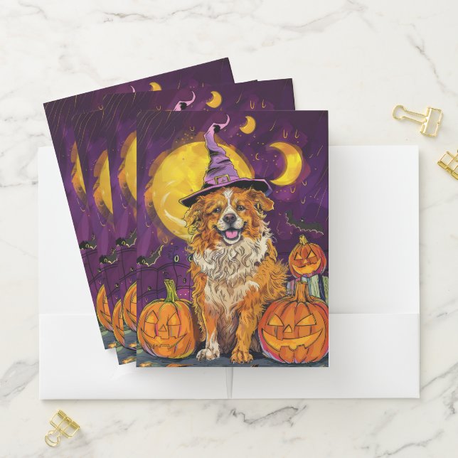 Nova Scotia Duck Toller Halloween Witch Pumpkin Pocket Folder (In Situ)