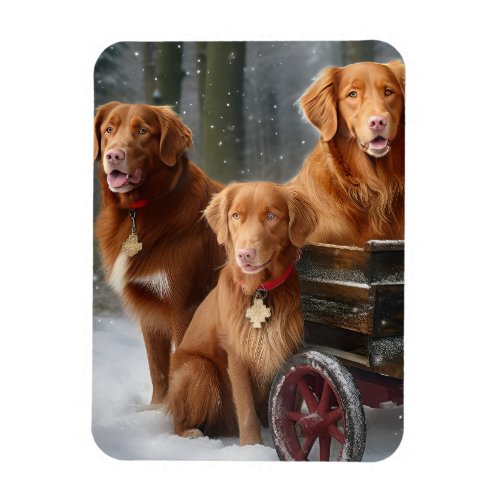 Nova Scotia Duck Toller Retriever Snowy Sleigh Magnet