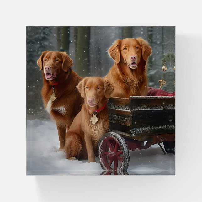 Nova Scotia Duck Toller Retriever Snowy Sleigh Paperweight (Front)