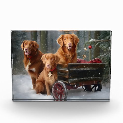 Nova Scotia Duck Toller Retriever Snowy Sleigh Photo Block