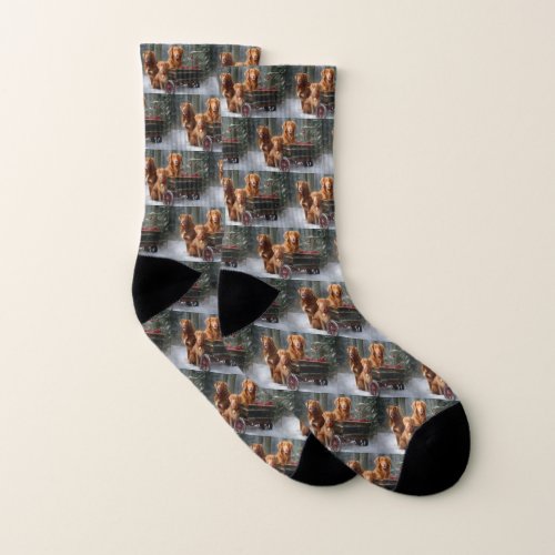 Nova Scotia Duck Toller Retriever Snowy Sleigh Socks