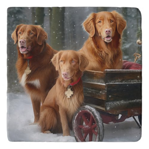 Nova Scotia Duck Toller Retriever Snowy Sleigh Trivet