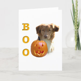 Nova Scotia Duck Tolling Boo Card