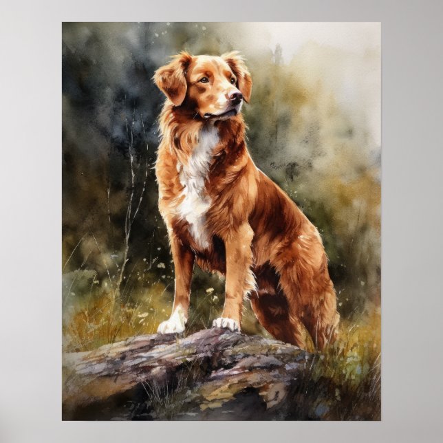 Nova Scotia Duck Tolling Retrieve Dog Art Poster (Front)
