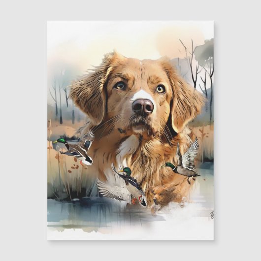 Nova Scotia Duck Tolling Retriever, Art (Front)