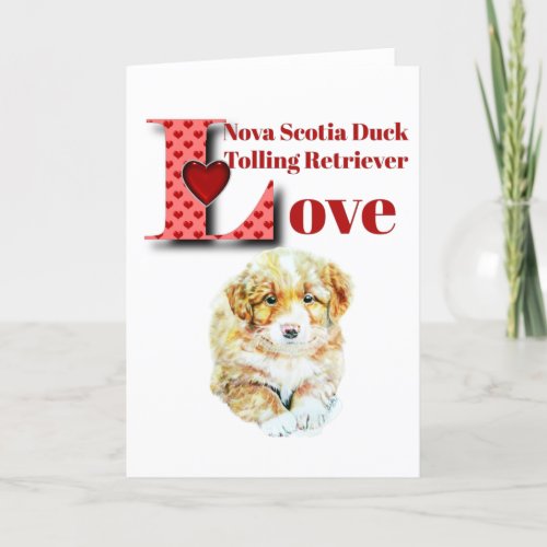 Nova Scotia Duck Tolling Retriever Card