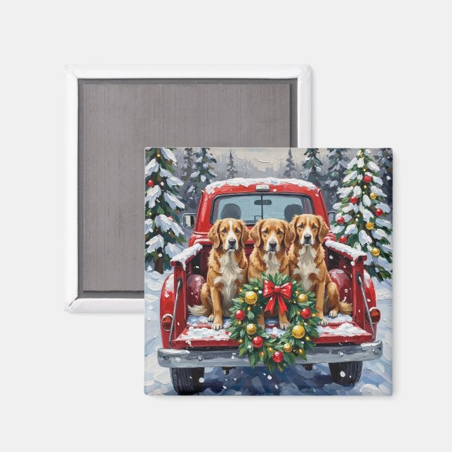 Nova Scotia Duck Tolling Retriever Christmas Red Magnet (Front/Back)