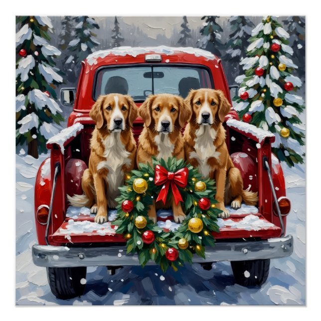 Nova Scotia Duck Tolling Retriever Christmas Red Poster (Front)