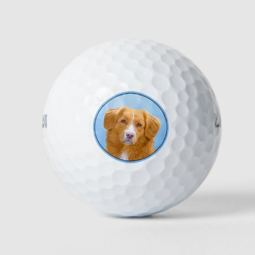 Nova Scotia Duck Tolling Retriever Dog Painting Golf Balls