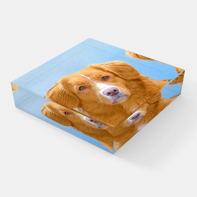 Nova Scotia Duck Tolling Retriever Dog Painting Paperweight (Angled)