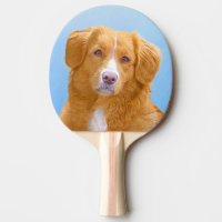 Nova Scotia Duck Tolling Retriever Dog Painting