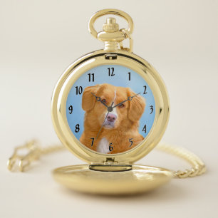 Nova Scotia Duck Tolling Retriever Dog Painting Pocket Watch