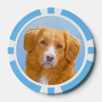 Nova Scotia Duck Tolling Retriever Dog Painting