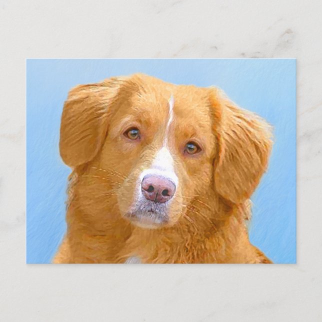 Nova Scotia Duck Tolling Retriever Dog Painting Postcard (Front)