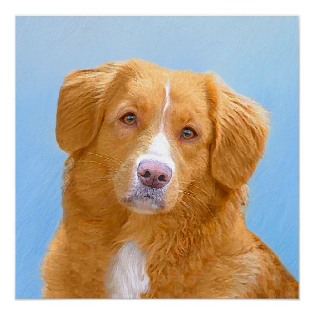 Nova Scotia Duck Tolling Retriever Dog Painting Poster (Front)