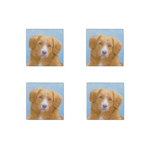 Nova Scotia Duck Tolling Retriever Dog Painting Stone Magnet