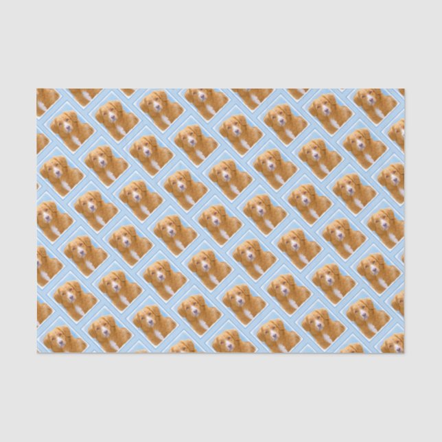 Nova Scotia Duck Tolling Retriever Dog Painting Tissue Paper (Front)