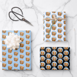 Nova Scotia Duck Tolling Retriever Dog Painting Wrapping Paper Sheets