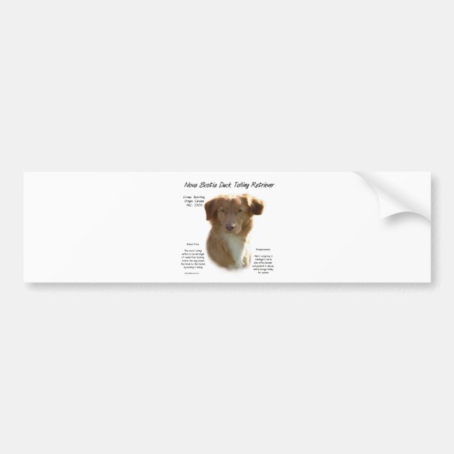 Nova Scotia Duck Tolling Retriever History Design Bumper Sticker (Front)