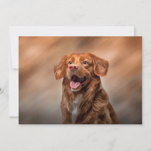 Nova Scotia Duck Tolling Retriever Invitation