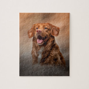 Nova Scotia Duck Tolling Retriever Jigsaw Puzzle