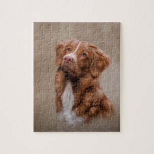 Nova Scotia Duck Tolling Retriever Jigsaw Puzzle