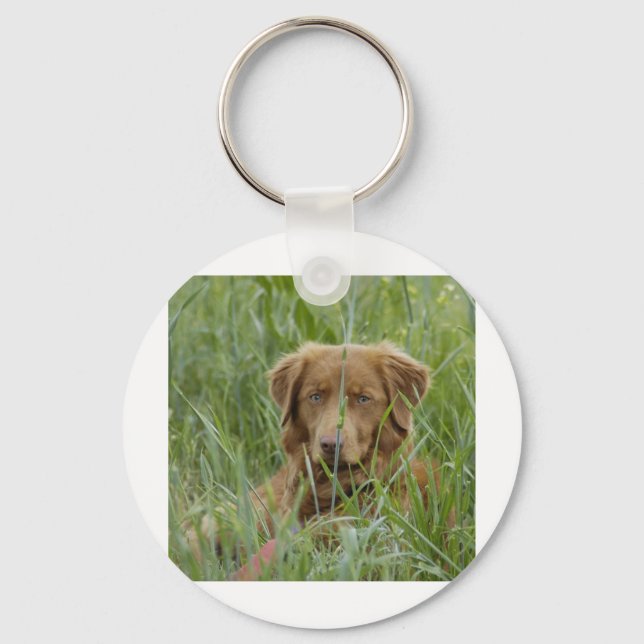 Nova Scotia Duck Tolling Retriever Keychain (Front)