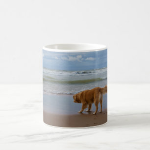 Nova Scotia Duck Tolling Retriever Ocean Cautious Coffee Mug