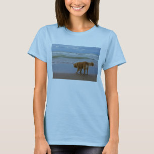 Nova Scotia Duck Tolling Retriever Ocean Cautious T-Shirt