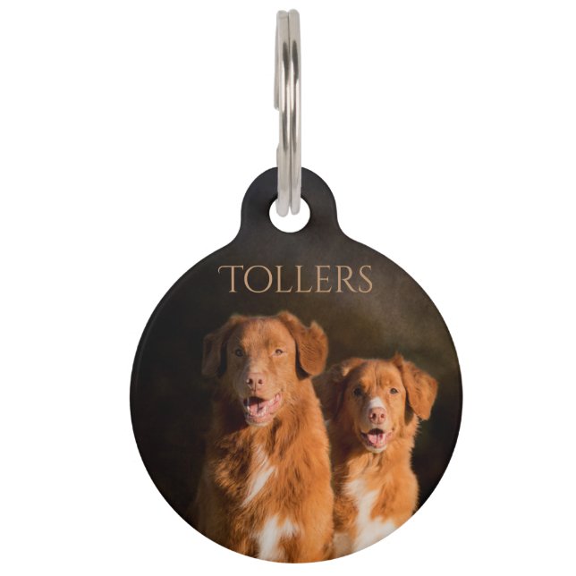 Nova Scotia Duck Tolling Retriever Pet ID Tag (Front)