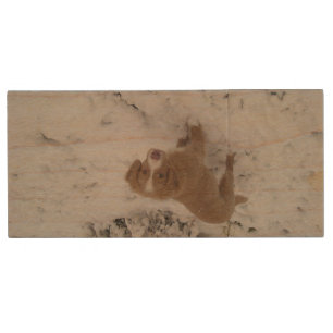 Nova_Scotia_Duck-Tolling_Retriever pup in snow Wood Flash Drive