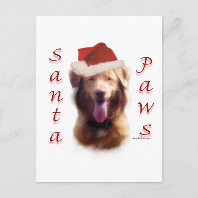 Nova Scotia Duck Tolling Retriever Santa Paws Holiday Postcard (Front)