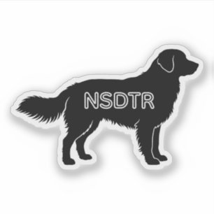 Nova Scotia Duck Tolling Retriever Sticker