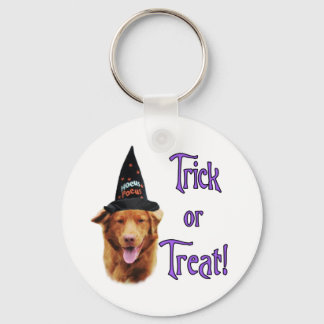 Nova Scotia Duck Tolling Retriever Trick Keychain