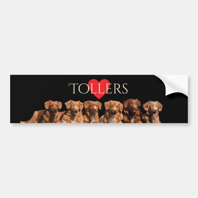 Nova Scotia Duck Tolling Retrievers Bumper Sticker (Front)