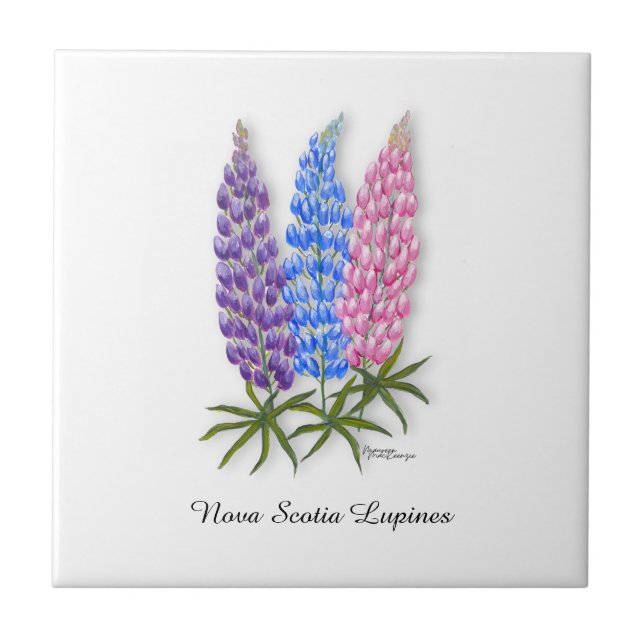 Nova Scotia Lupines Ceramic Tile (Front)
